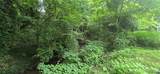 0 Birch Drive - Photo 4