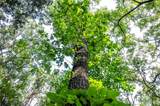 00 Walz Road - Photo 15