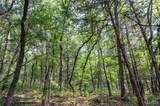 00 Walz Road - Photo 25