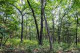 00 Walz Road - Photo 30
