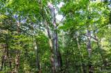 00 Walz Road - Photo 9