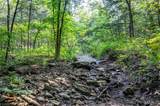 00 Walz Road - Photo 10