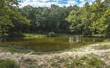 2420 Luhring Lane - Photo 8
