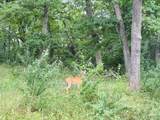 339 Oak Road - Photo 5