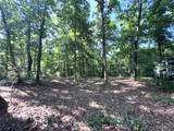 43121 Deerview Trail - Photo 4