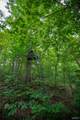 4545 County Road 634 - Photo 95