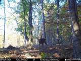 001 Bb Highway - Photo 38