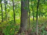 225 Valley View (Lot 29) Drive - Photo 18