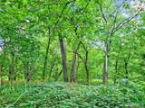 225 Valley View (Lot 29) Drive - Photo 5