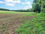 225 Valley View (Lot 29) Drive - Photo 8