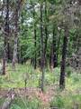 282 Madison Cr 410 - Photo 2