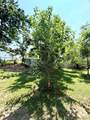 501 Washington Street - Photo 18