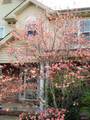 1524 Caleb Court - Photo 39