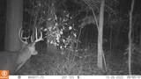 00 Old Jefferson City Road - Photo 11