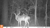 00 Old Jefferson City Road - Photo 12