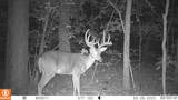 00 Old Jefferson City Road - Photo 13