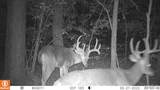 00 Old Jefferson City Road - Photo 14