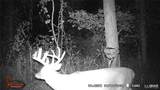 00 Old Jefferson City Road - Photo 15
