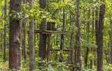 00 Old Jefferson City Road - Photo 16