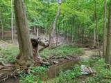 0 Upper Moss Hollow - Photo 12