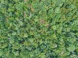 0 Upper Moss Hollow - Photo 29