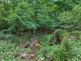 0 Upper Moss Hollow - Photo 6
