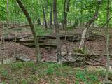 0 Upper Moss Hollow - Photo 8