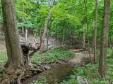 0 Upper Moss Hollow - Photo 10