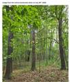TBD Red Oak Rd - Photo 3