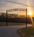 Lot 29 Holt Farm Drive - Photo 5