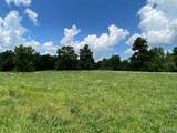 3252 Stayton Dairy Rd. - Photo 33