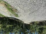 6803 Heather - Photo 1