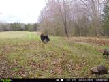 000 Brainerd Ln - Photo 35