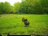 000 Brainerd Ln - Photo 37