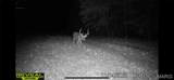 000 Brainerd Ln - Photo 39