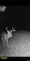 000 Brainerd Ln - Photo 43