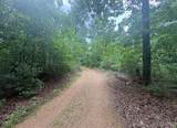 0 County Road 447 - Photo 3
