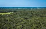 4347 Licklider Road - Photo 13
