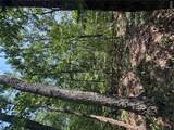 24.67 +/- AC Krull Road - Photo 16