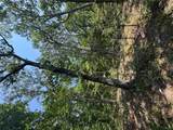 24.67 +/- AC Krull Road - Photo 18