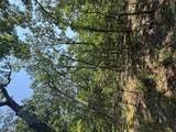24.67 +/- AC Krull Road - Photo 19