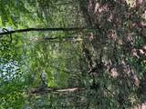 24.67 +/- AC Krull Road - Photo 7