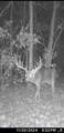 8206 Eakin Grove Rd - Photo 1