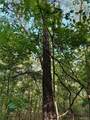 8206 Eakin Grove Rd - Photo 18