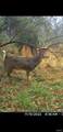 8206 Eakin Grove Rd - Photo 3