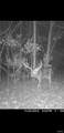8206 Eakin Grove Rd - Photo 4