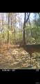 8206 Eakin Grove Rd - Photo 5