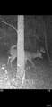 8206 Eakin Grove Rd - Photo 47