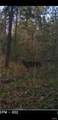 8206 Eakin Grove Rd - Photo 49