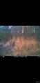 8206 Eakin Grove Rd - Photo 8